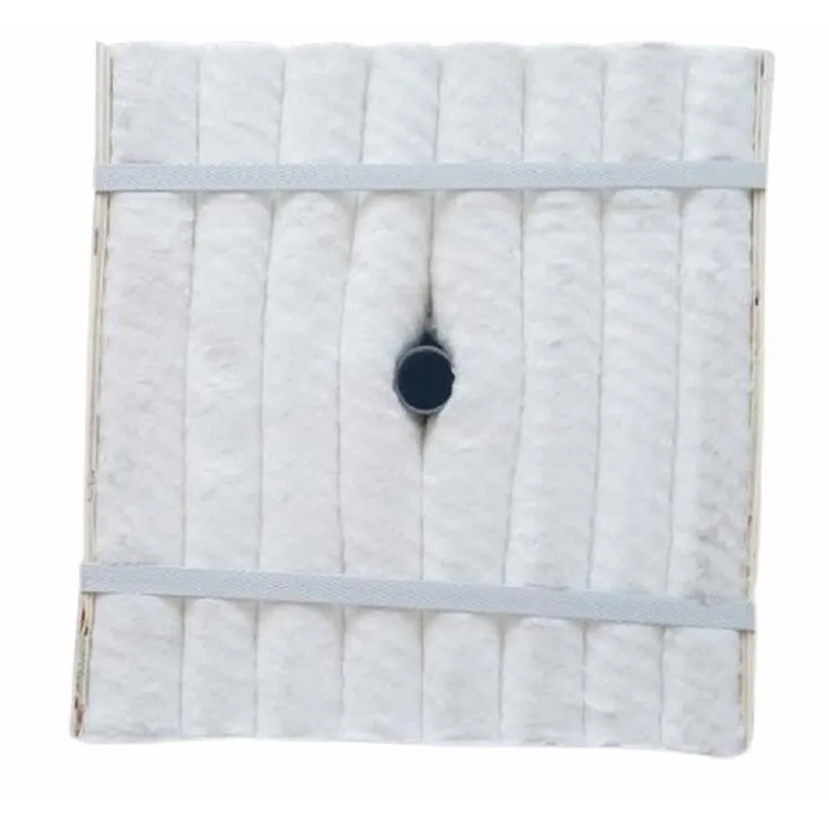 Ceramic Fiber Module